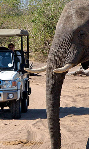 Chobe national Park