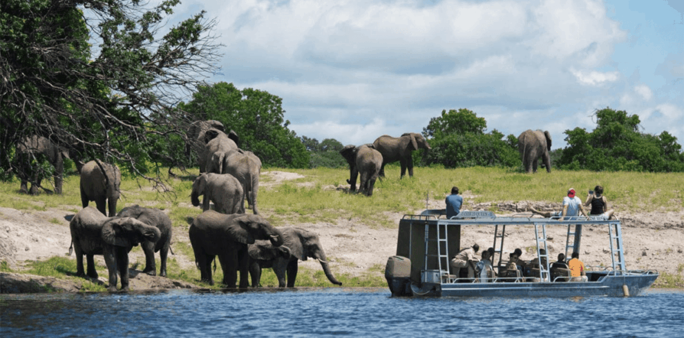 Chobe day trip wf (1)